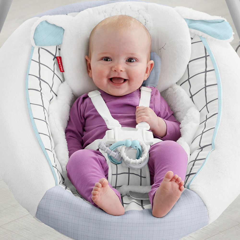 fisher price swing toys r us