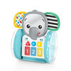 Jouet Interactif Chase & Tap Earl de Baby Enistein
