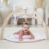 Aden Anais Activity Gym Ma Fleur