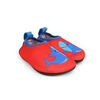 ZOOCCHINI - Aqua Shoe - Shark - 5