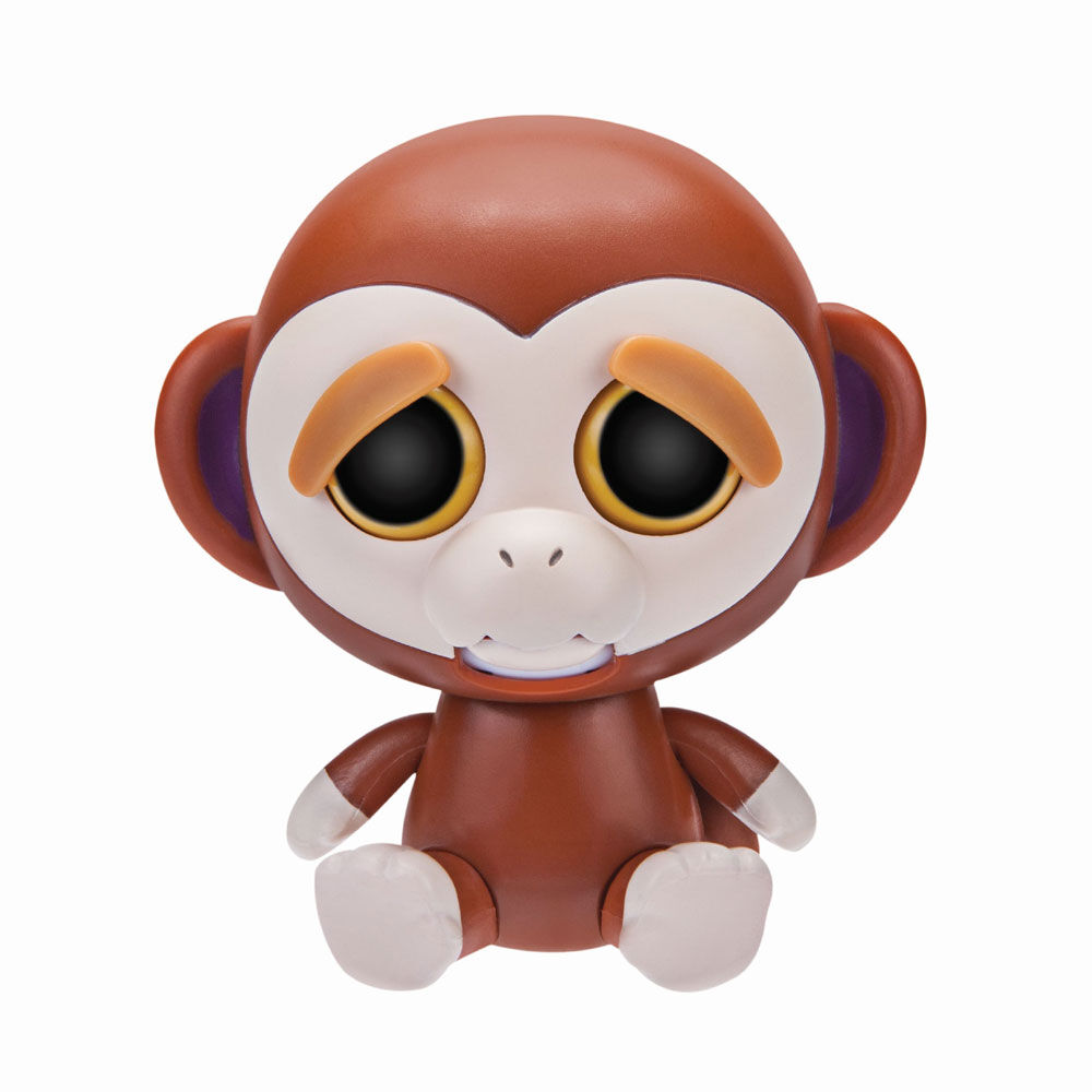 Feisty pet monkey 2025