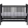Rowan Valley Linden Crib, Black