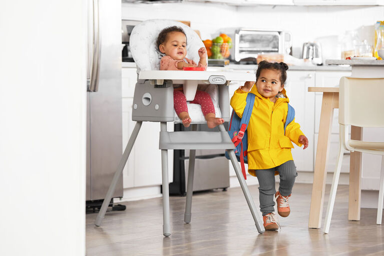 Graco SimpleSwitch 2-in-1 Highchair, Reign