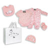 Rock A Bye Baby 5 Piece Swan 0-3M