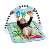 Neptune's Discovery Reef Play Gym & Take-Along Toy Bar