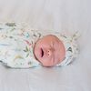 Copper Pearl Aspen Top Knot Hat