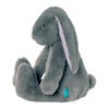 Pattern Pals Bunny Gray - English Edition