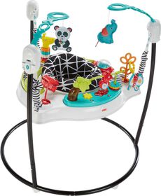 Fisher-Price Baby Bouncer Animal Wonders Jumperoo Activity Center with Music and Lights