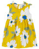 Floral Sleeveless Dress 12M