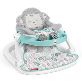 Fisher-Price - Si&egrave;ge jeu et confort Singe c&acirc;lin avec plateau - Notre exclusivit&eacute;
