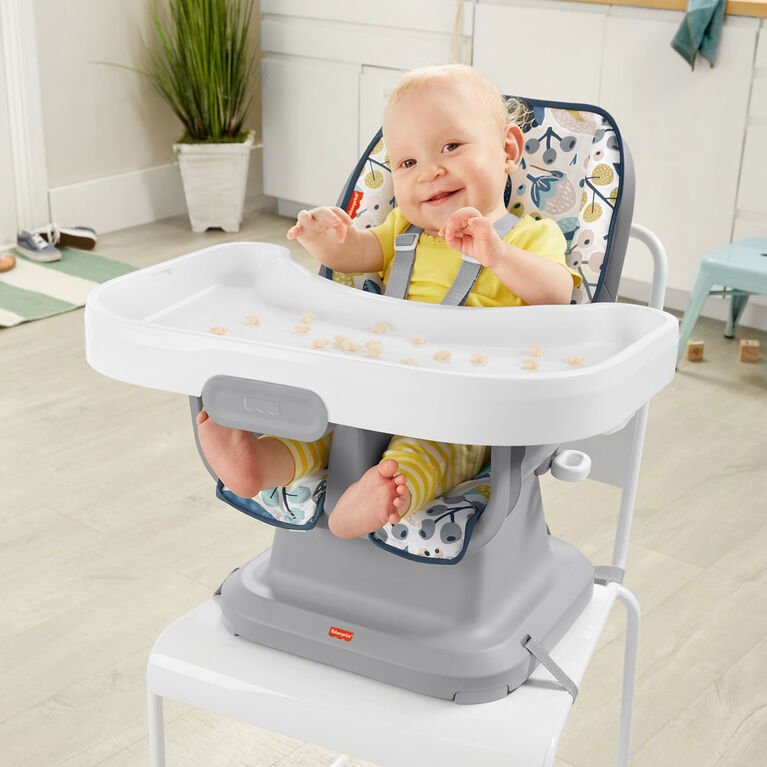 Fisher-Price - Chaise repas compacte - Feuillage marine - Notre exclusivité