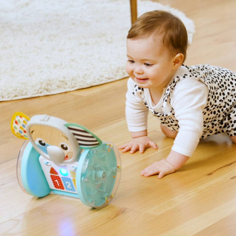 Jouet Interactif Chase & Tap Earl de Baby Enistein