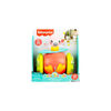 Fisher-Price Paradise Pals Pull-Along Flamingo
