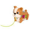 B. toys - Promenez-vous avec le chiot