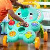 Stroll 'n Roll 2-in-1 Ball Play Walker