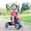 smarTrike: Star - Navy 4 in 1 Convertible Trike - R Exclusive