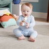 Fisher Price Clack & Quack Goose Baby Toy with Fine Motor Activity for Newborns