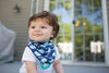 Dr. Brown's Bandana Bib 2Pk Whales/Anchor