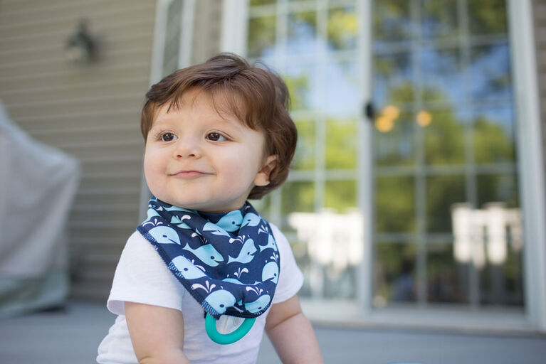 Dr. Brown's Bandana Bib 2Pk Whales/Anchor