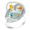 Bright Starts Whimsical Wild - Cradling Bouncer