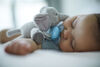 Peluche câlin ultradouce Philips Avent, 0 à 6 mois, éléphant