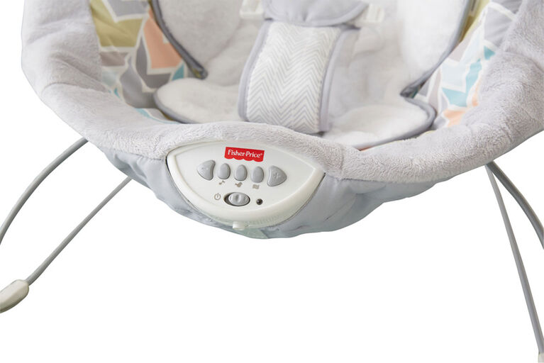 FisherPrice Sweet Snugapuppy Dreams Deluxe Bouncer Babies R Us Canada