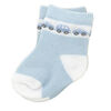 Tendertyme 6 Pack Socks:Blue Cars