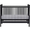 Rowan Valley Linden Crib, Black