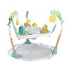 Ingenuity Tummy-to-Toes  6-in-1 Milestones Center