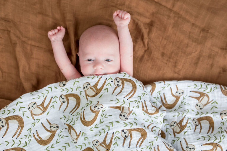 Lulujo - Couverture Moderne Sloth Swaddle