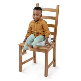 ITY by Ingenuity Simplicity Seat Easy-Clean Booster - Grey