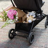 Evenflo Hummingbird Lightweight Carbon Fiber Stroller