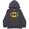 Lego Batman Logo Fleece Hoody Charcoal Heather - 3T