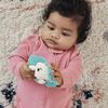 Fisher-Price Hold and Jingle Hedgehog