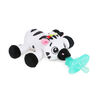 Baby Einstein High Contrast Box