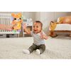 VTech Baby Fripon, cache-cache chaton - Édition française