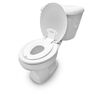 ITY Flip & Sit Potty Seat