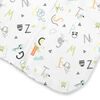 SwaddleMe 1 Pack Night Sack Sleeper ALPHABET 6-12 months