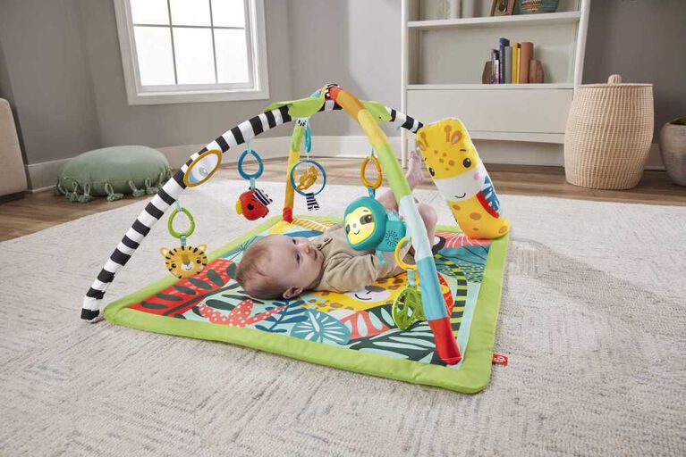 FisherPrice 3in1 Rainforest Sensory Gym Babies R Us Canada