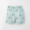 surf's up board short, 4-5y - aqua