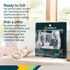 Safety 1st 1st Healthcare Kit - Artic Blue