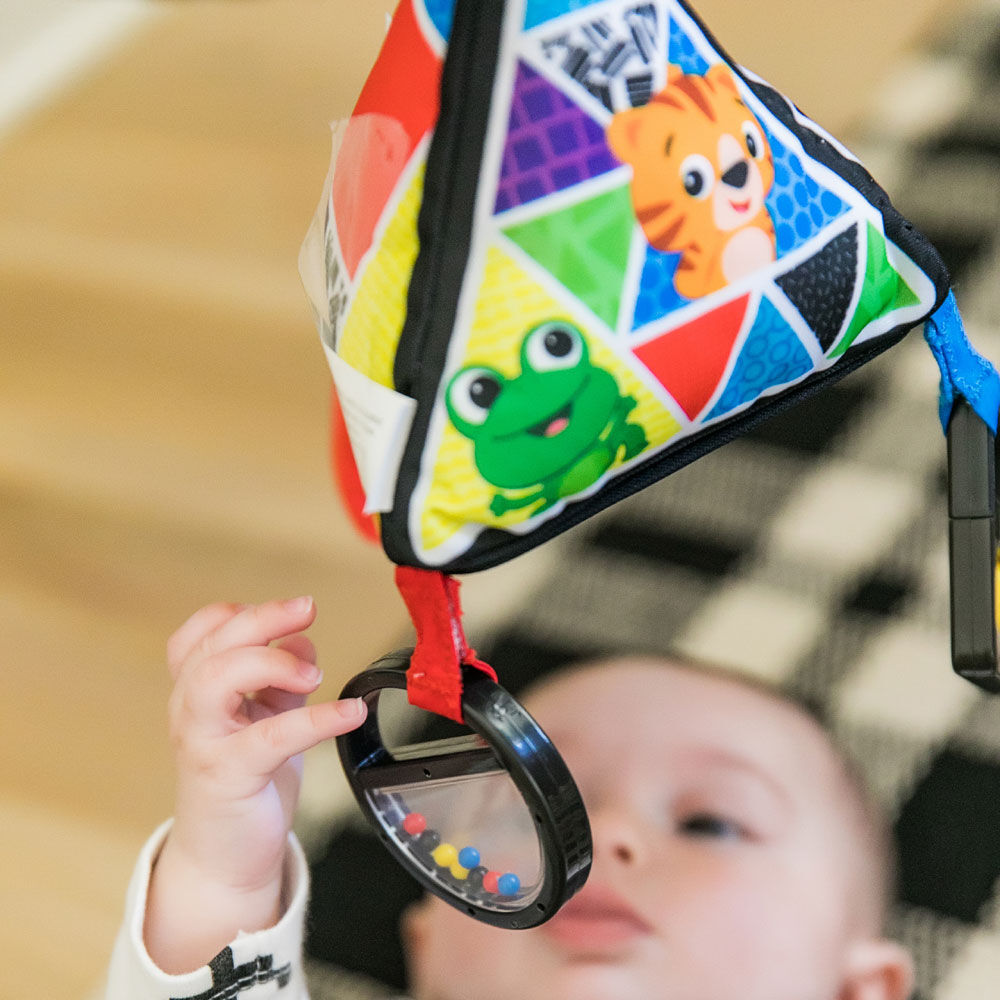 baby einstein stroller toy