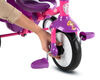 smarTrike Paw Patrol 2 in 1 Folding Fun Trike - Skye