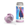 Thermos Funtainer Bottle Frozen 14oz