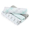 aden by aden + anais swaddle 4 pack, baby star