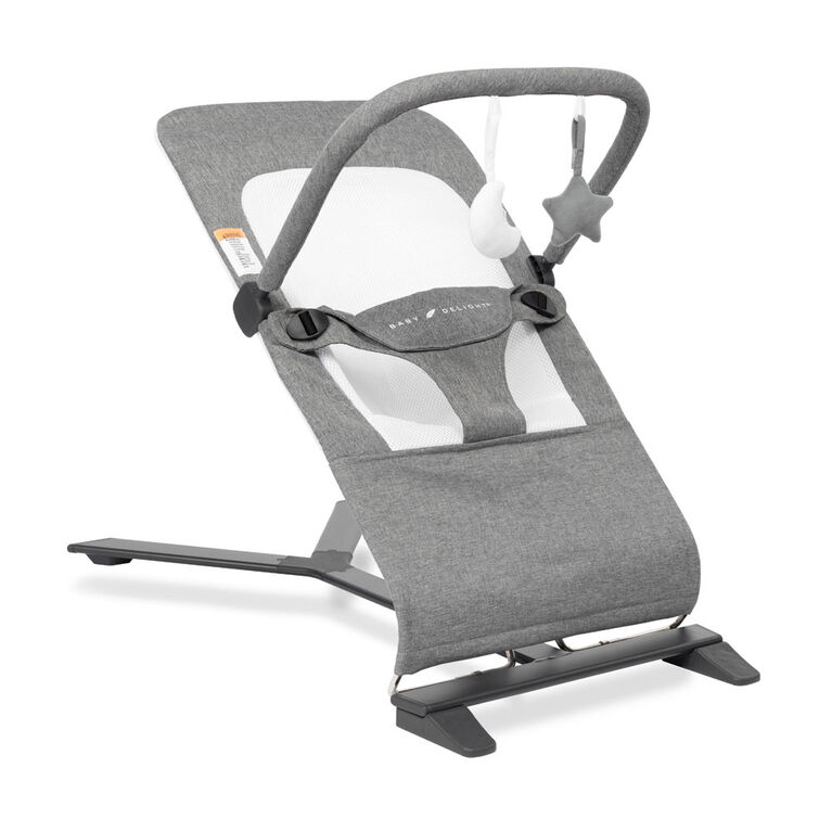 Siège Sauteur Portatif de luxe Alpine de Baby Delight, Charcoal Tweed