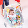 Bright Starts Whimsical Wild - Cradling Bouncer