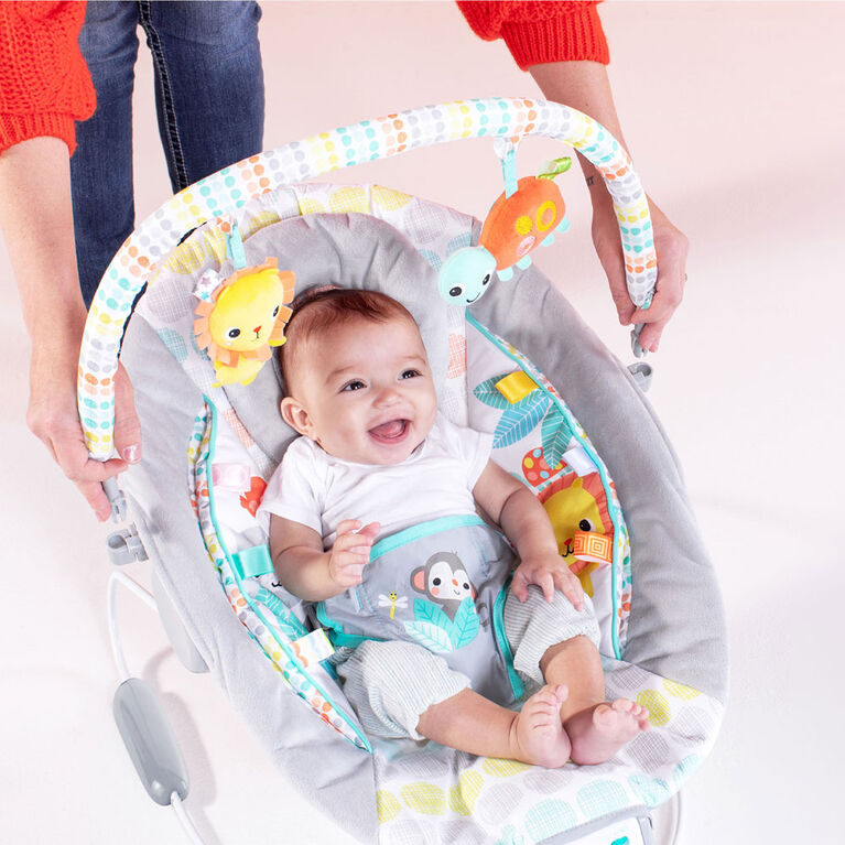 Bright Starts Whimsical Wild - Cradling Bouncer