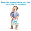 Tiny Love Soothe and Groove Mobile - Meadow Days