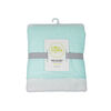 Lolli by Lolli Living Stroller Blanket - Mint Rocks